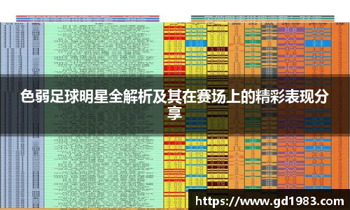 xingkong官方网站