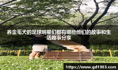 xingkong官方网站