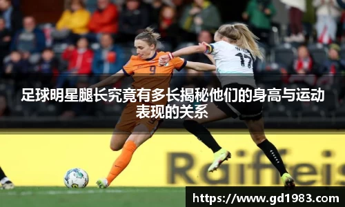 xingkong官方网站