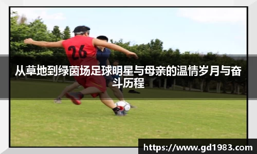 xingkong官方网站